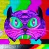 allycat197666